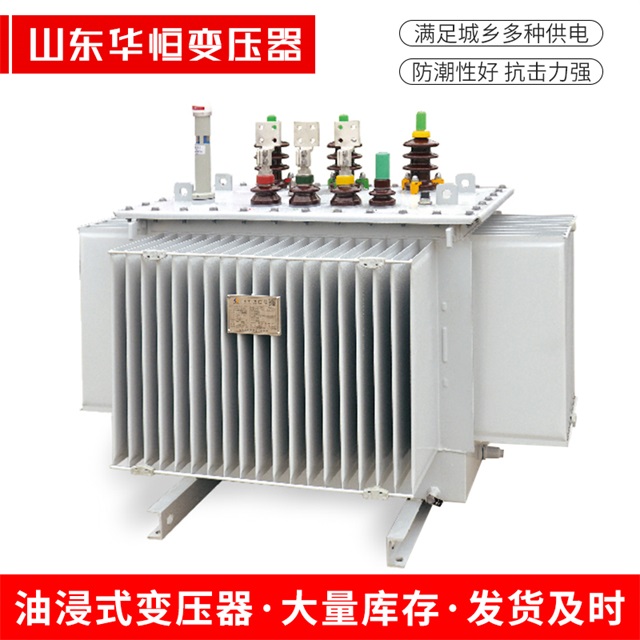 S13-10000/35仁布仁布仁布电力变压器