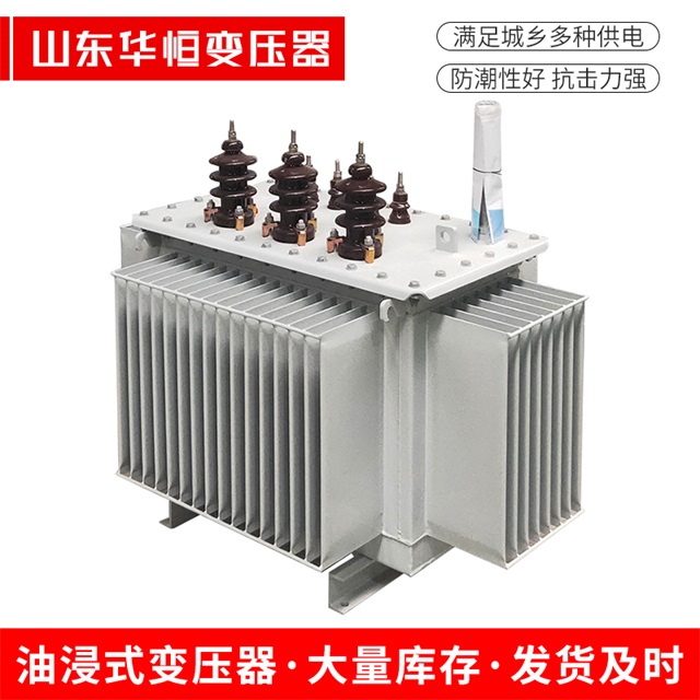 S13-10000/35仁布仁布仁布油浸式变压器厂家